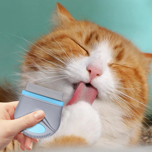 Brosses auto-nettoyantes pour animaux de compagnie