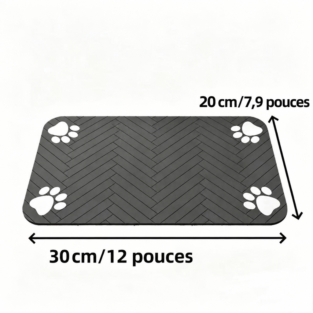 Image 11 en français