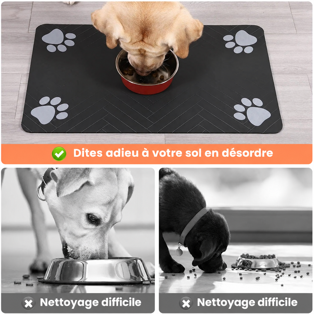 Image 3 en français