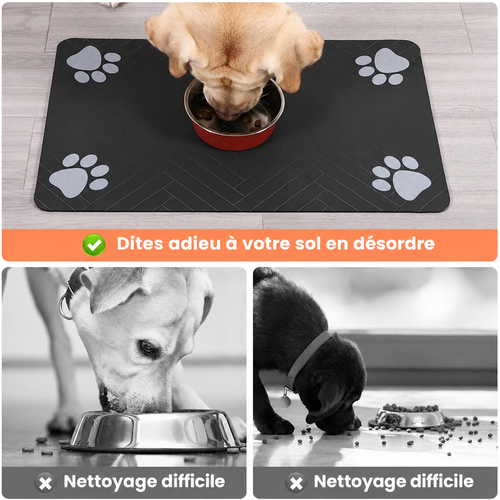 Image 3 en français
