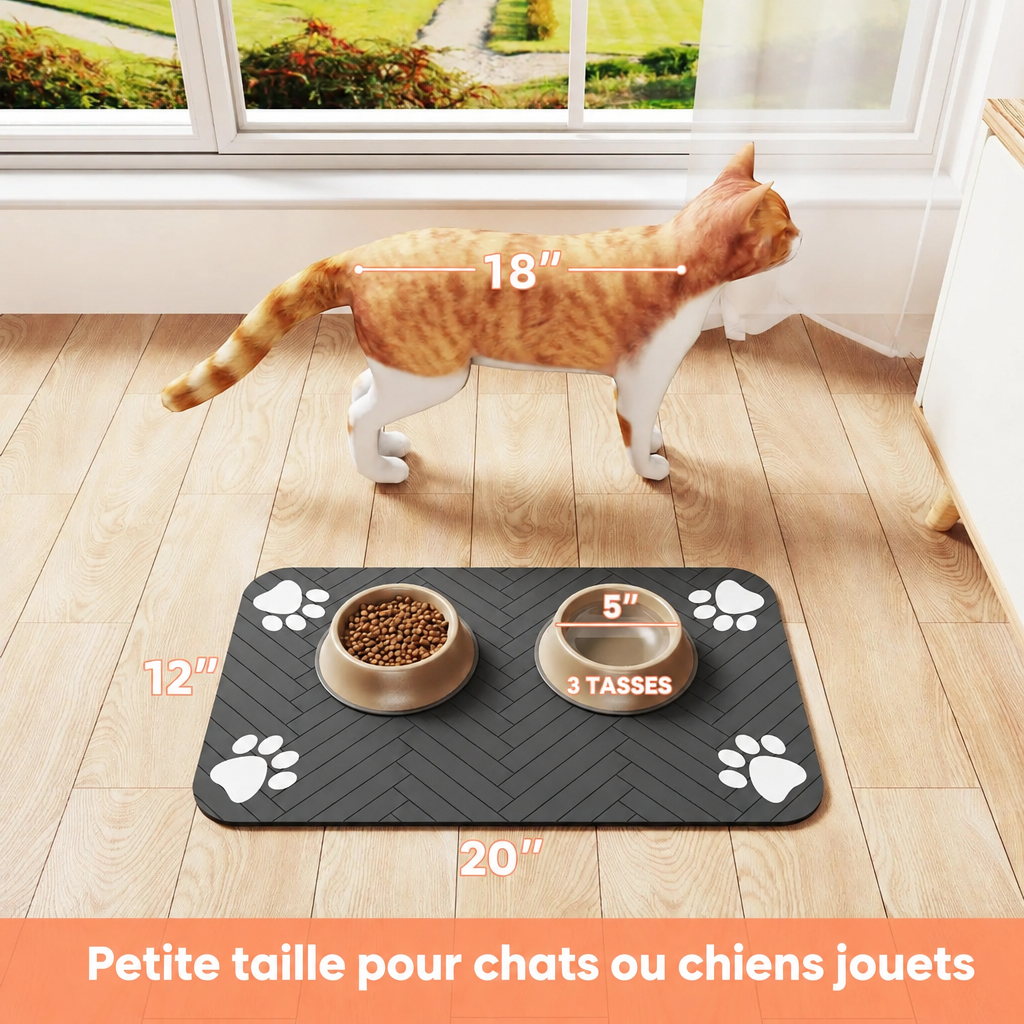 Image 6 en français